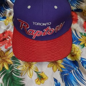 Toronto Raptors Hat